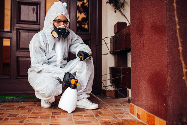 Reliable Cockroach Control contractor in Liberty, IN by Nex Pest Control